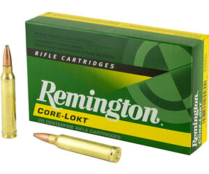 REM 300WIN 180GR PSP CL 20/200