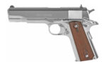 Colt Government 45ACP 5" WDS Stainless
