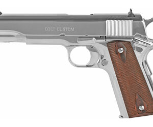 Colt Government 45ACP 5" WDS Stainless