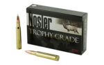 Nosler 30-06 165gr AccuBond Ammunition 20rd
