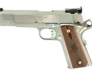 Springfield 45ACP Target Stainless Steel