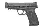 S&W M&P 2.0 45ACP 4.6 10RD Black