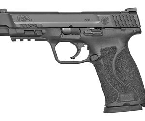 S&W M&P 2.0 45ACP 4.6 10RD Black