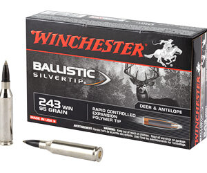 Winchester Ballistic Tip Ammunition 243 Win 95gr 20rd