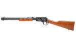 Rossi Gallery 22LR 18" 15RD Dillo Wood