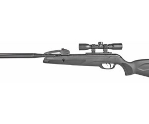 GAMO SWARM WHISPER .22 W/SCP