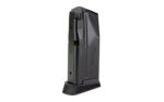 Mag Sig P365 380 ACP 10rd Extended