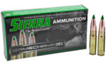 Sierra GC Ammunition 300BLK 125gr TGK 20rd