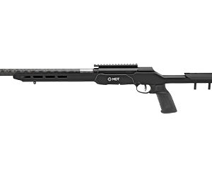 Savage A22 Precision Lite 22LR 18" 10RD Black