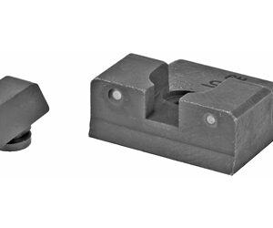 XS R3D Sight for Taurus G2 Orn
