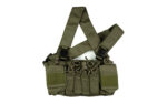 Haley Strategic Partners D3CR X Chest Rig