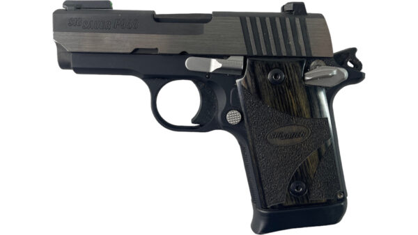Sig Sauer P938 Equinox 9mm 3" 6rd w/ Holster - Image 2