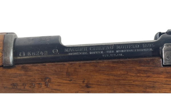 Mauser Chileno Chile Model 1895 7mm 28.5" 5rd Wood/Blued - Image 17