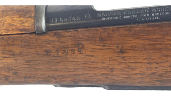 Mauser Chileno Chile Model 1895 7mm 28.5" 5rd Wood/Blued - Image 18