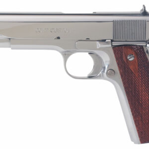 Colt O1070BSTSGVRNMNT 45 ACP5" BSTS