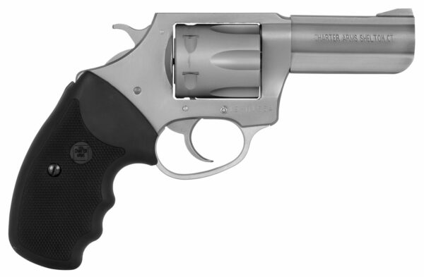 Charter Arms 73802 Pit Bull .380 3.0" 6-Shot Stainless Steel
