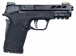 Smith & Wesson M&P380 SHLD12717 Performance Center 380 EZ PT 3.8" 2x8 Round Black