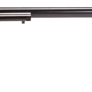 Heritage Rough Rider RR22B16DMH .22LR 16" 6rd Deadhead