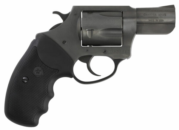 Charter Arms 64420 Bulldog .44 Special 2.5-inch 5-Shot Black