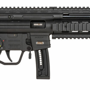 GSG GSG-16 22LR 16.25" 10RD Black Rifle
