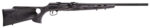 Savage 47800 A17 Target Thumbhole A17WSM Semi-Automatic Laminated