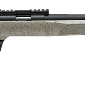 Springfield 2020 RF TARGET 22LR Sage w/ Black Rifle