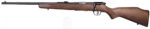 Savage Model 93GL 22 WMR 21 5rd Wood Stock