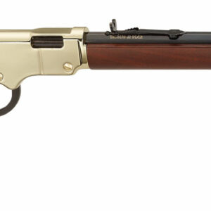 Henry H004V Golden Boy Octagon 20" Barrel 17 HMR