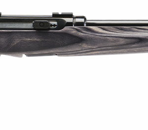 Savage 47006 A17 17 HMR Semi-Automatic Target Sporter Laminate