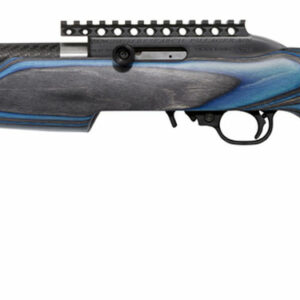 Savage Arms B22 G Rimfire Rifle .22LR 17" Blue Laminate