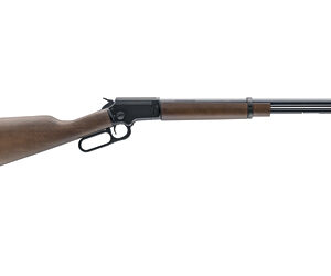 Chiappa LA322 Takedown 22LR 18.5" Black