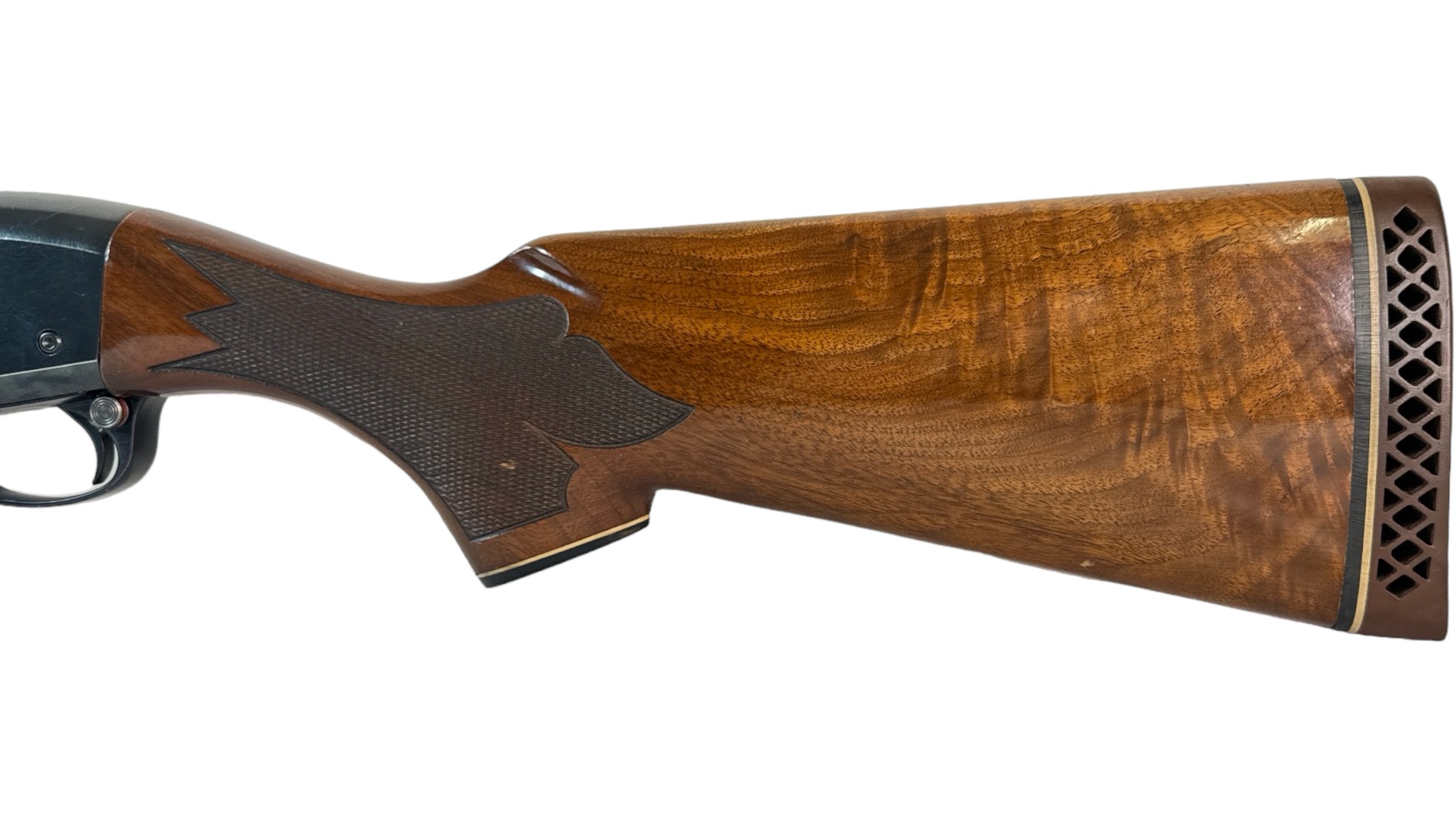 Remington 1100 Skeet-B 12ga 25.5" Blued Walnut w/ Extra Stock Forend-img-10