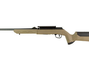 Savage A22F 22LR 18" Takedown Black