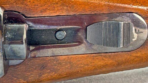 Ruger M77 30-06 SPRG Bolt 22" Blued Wood 4rd - Image 28