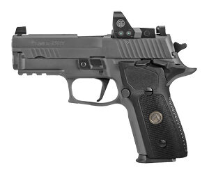 Sig Sauer P229 Legion SAO RXP 9mm 3.9" Legion Gray