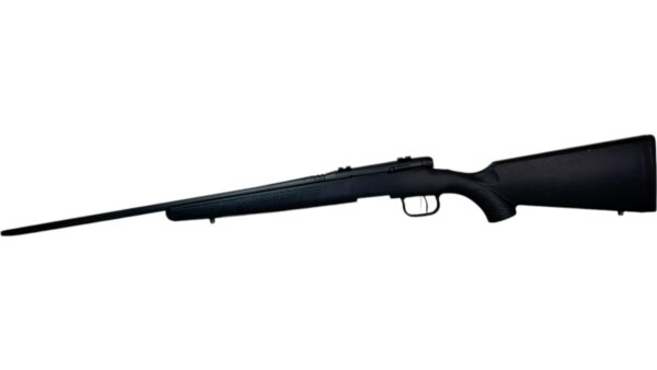 Savage B-Mag 17WSM 22" Black Synthetic