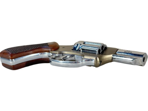 Charter Arms Bronze Beauty Pathfinder 22WMR 2" 8rd Bronze / Stainless - Image 5